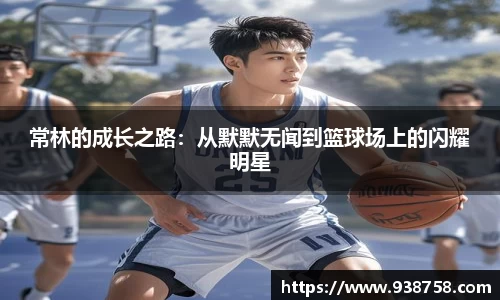 bibo必博官网